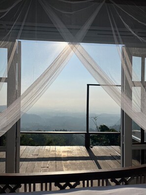 Suite | Free WiFi