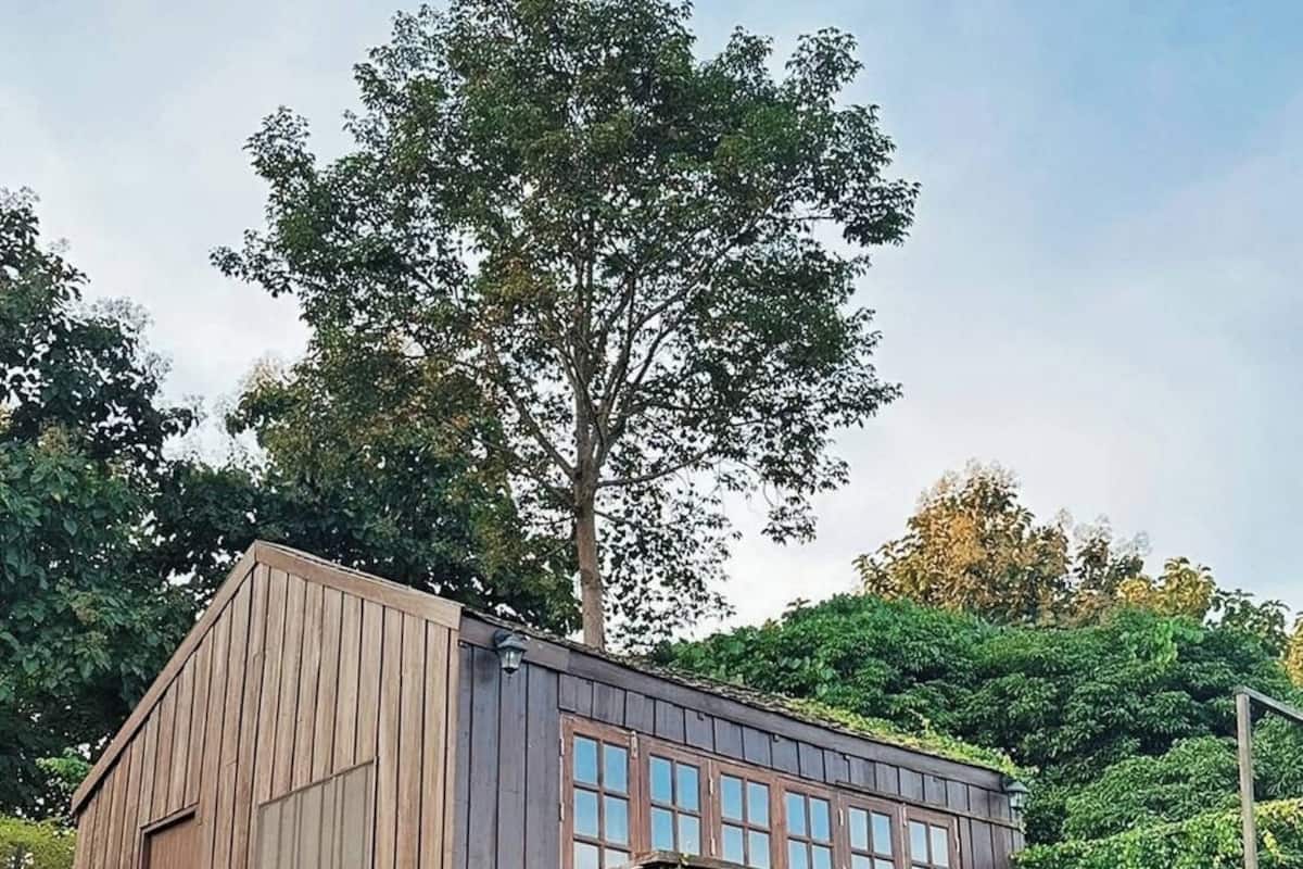 Un bâtiment en bois doté de grandes fenêtres, entouré d’une végétation luxuriante et d’un arbre.