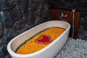 Basic Villa | Property grounds