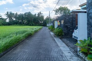 Basic Villa | Property grounds