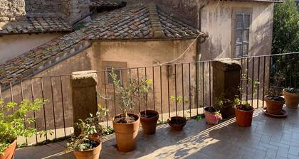 Tourist accommodation