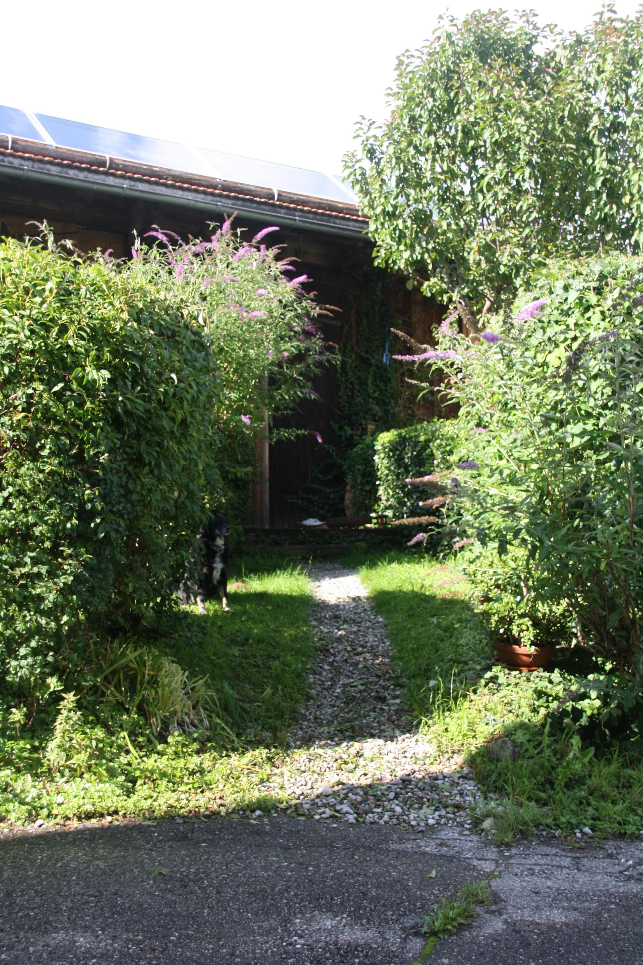 Ein Weg führt zu einem Gebäude mit überdachter Veranda, umgeben von üppigem Grün und blühenden Pflanzen.