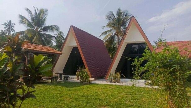 Un edificio moderno con un diseño de techo triangular, rodeado de vegetación exuberante y palmeras.