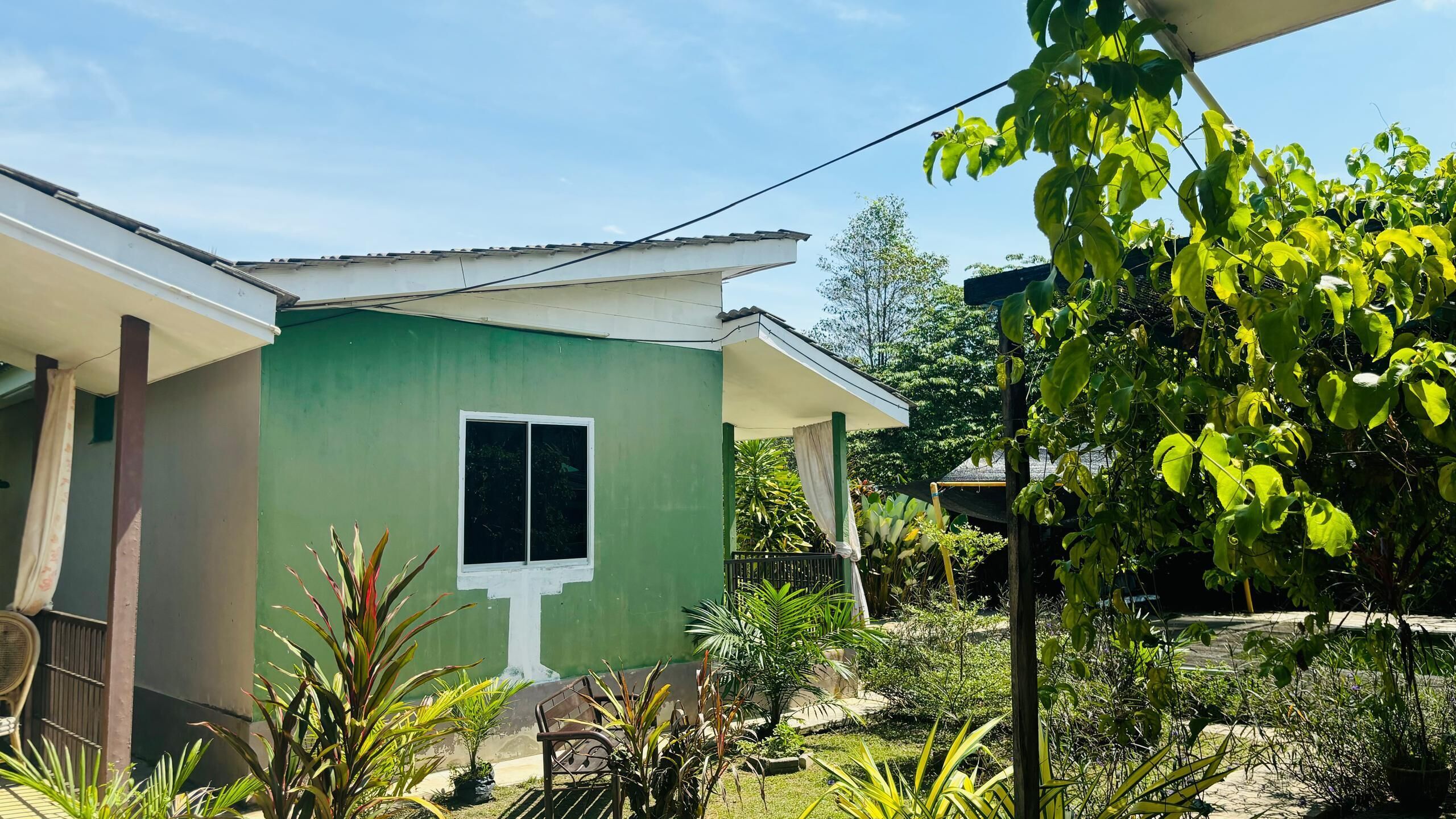 A green house with a white window and a cross symbol, surrounded by various plants and a bicycle.