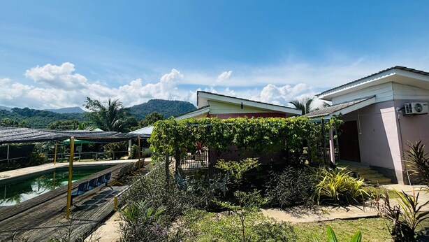 Un barrio residencial con piscina, una pérgola cubierta de vegetación y una casa con tejado inclinado.