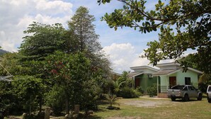 Un barrio residencial con una casa, un camión y abundante vegetación.