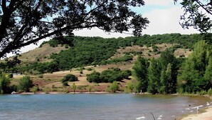 A lakeside scene with a sandy beach, trees, and hills in the background.