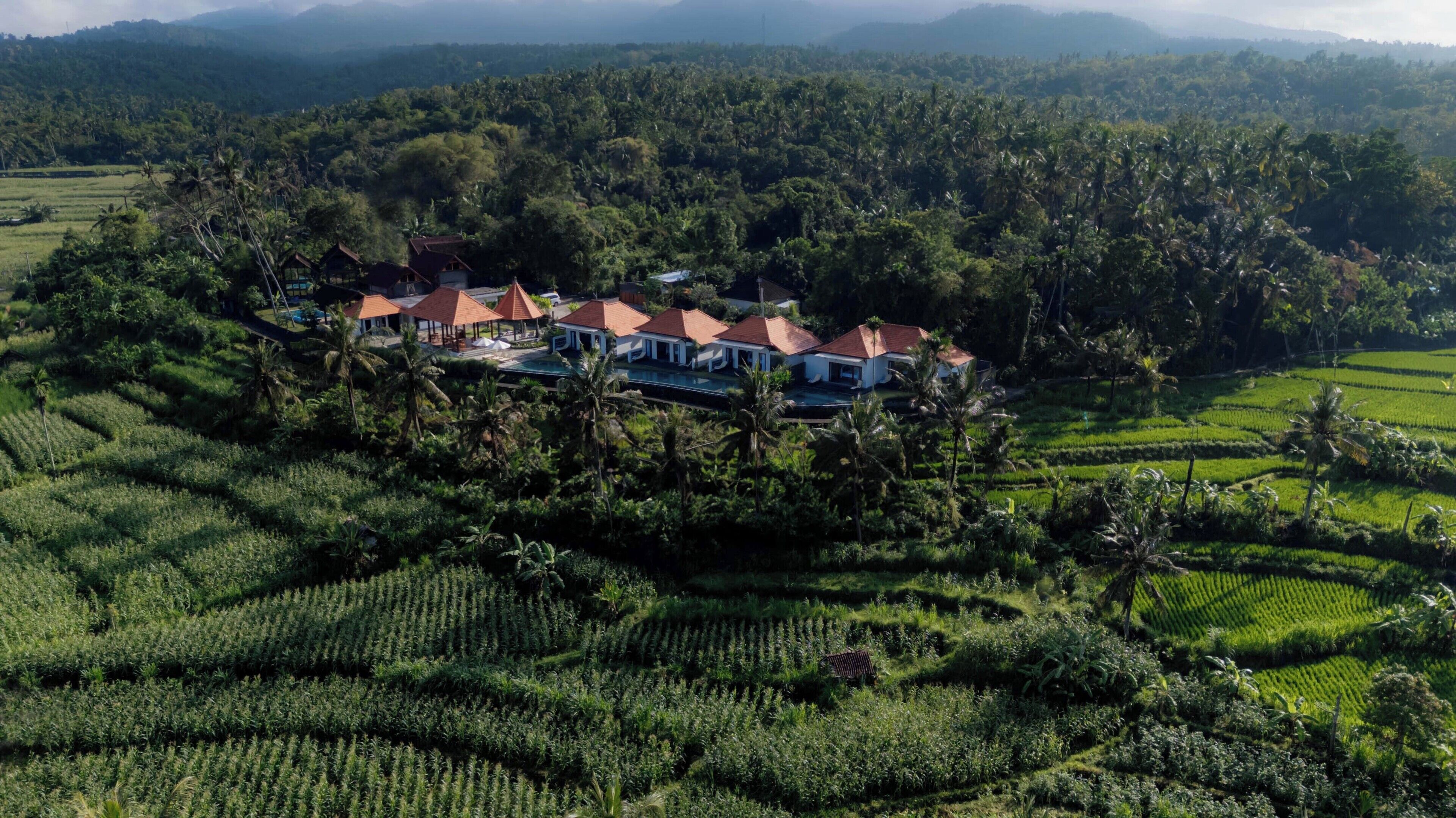 Pemandangan dari properti