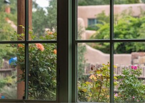 Ein Fenster mit Blick auf einen Garten und einen Holzzaun.