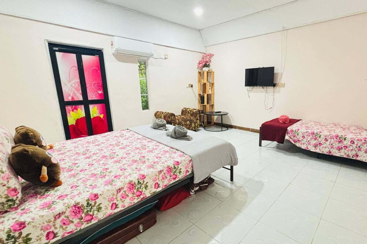 Una habitación con dos camas, una mesita pequeña, un televisor montado en la pared y una ventana con vista a zonas verdes.