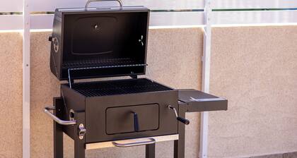 II Coral Seashell by Fidalsa