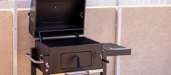 II Coral Seashell by Fidalsa