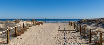 II Coral Seashell by Fidalsa