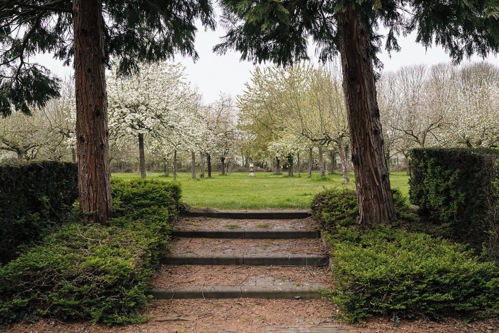 A paved pathway leading through a park with trees and a grassy area.