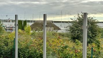 Terrain de l’hébergement