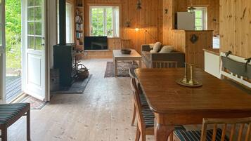 Smart-TV, Kamin