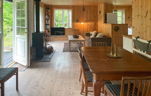 TV connectée, cheminée