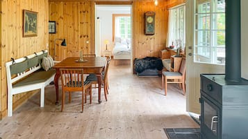 Smart-TV, Kamin