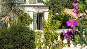 Un bâtiment à deux étages avec des volets verts, un toit en tuiles et un jardin où poussent différentes plantes et fleurs.