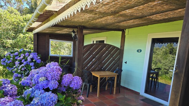 Un patio couvert avec une table et des chaises en bois, entouré de magnifiques arbustes d’hortensias aux fleurs violettes.