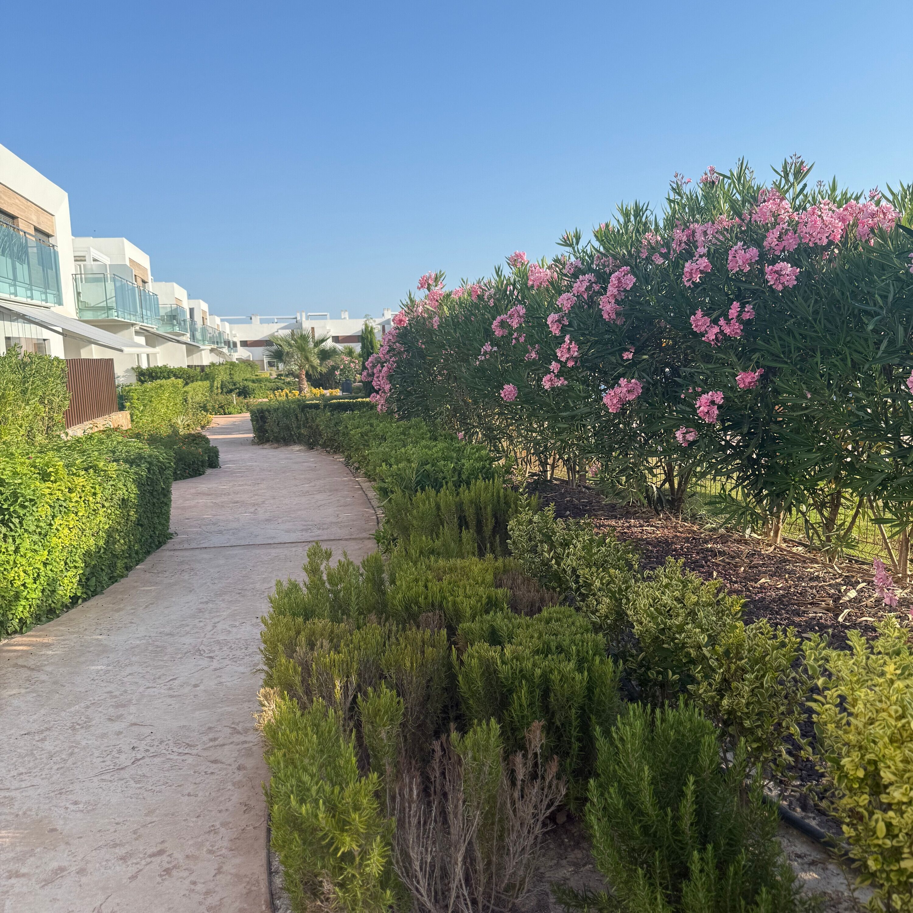 Overnattingsstedets uteområder