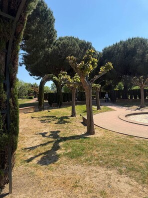A park with trees, a pathway, and a person walking.