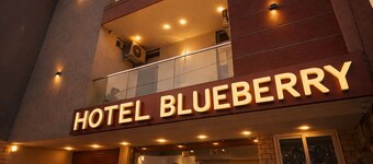 HOTEL BLUEBERRY
