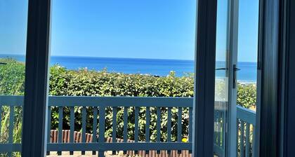 Sea Thrift at Widemouth Bay