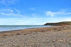 Beach - Sea Thrift at Widemouth Bay (Widemouth Bay)