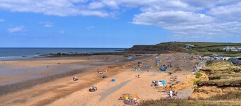 Sea Thrift at Widemouth Bay