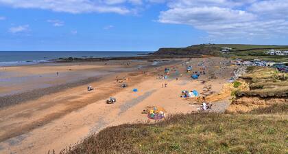 Sea Thrift at Widemouth Bay