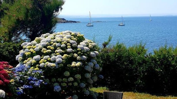 A coastal garden with a variety of flowers and a view of the sea with sailboats. - Seaside Chalet with Direct Water Access (Fermanville)