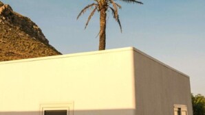 Een modern gebouw met één raam en een palmboom op de achtergrond.