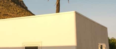 A modern building with a single window and a palm tree in the background.