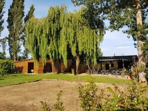 Terrain de l’hébergement 