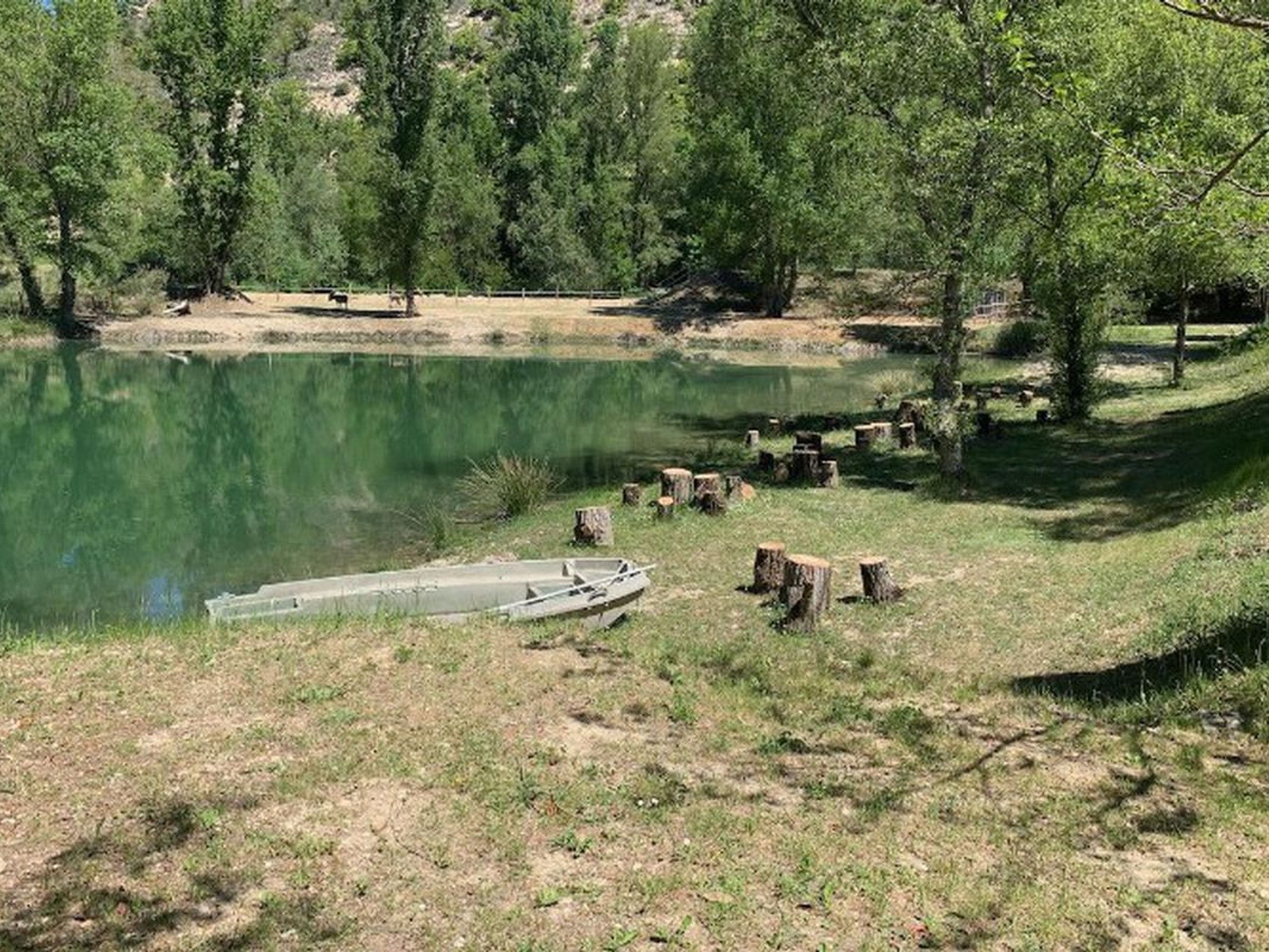 Un cadre paisible au bord d’un lac, avec un quai, des arbres et une zone herbeuse.