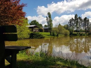 Eine friedliche Uferlandschaft mit einer Holzbank, einem Haus und üppigem Grün.