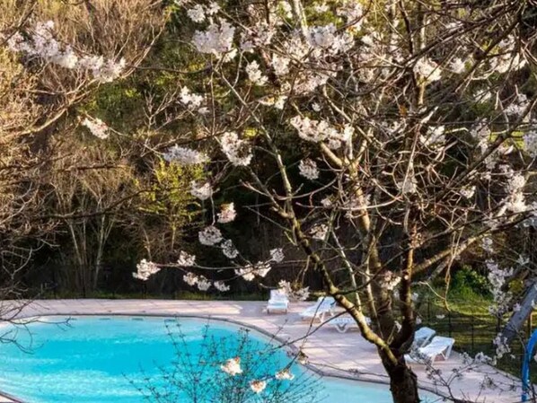 A swimming pool with a tree in the foreground.