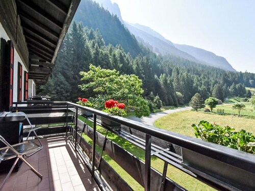 Nice apartment for 3 guests with WIFI, TV, terrace and pets allowed