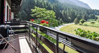 Nice apartment for 3 guests with WIFI, TV, terrace and pets allowed