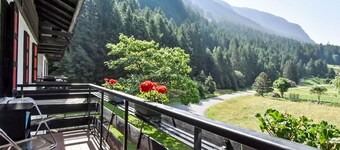 Herrliche Wohnung für 3 Personen mit W-LAN, TV, Terrasse und Haustiere erlaubt