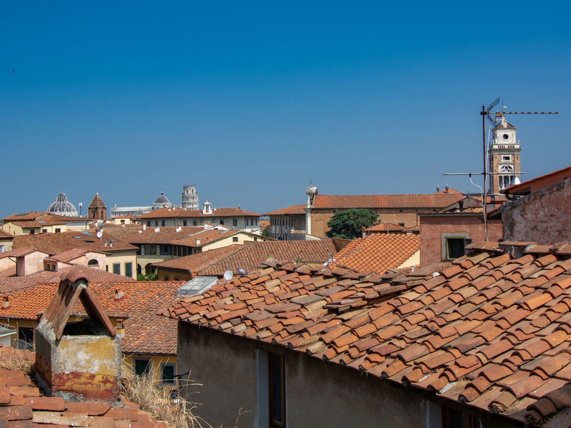 Blick auf terrakottafarbene Dächer und historische Gebäude, darunter ein Glockenturm und Kuppelbauten.