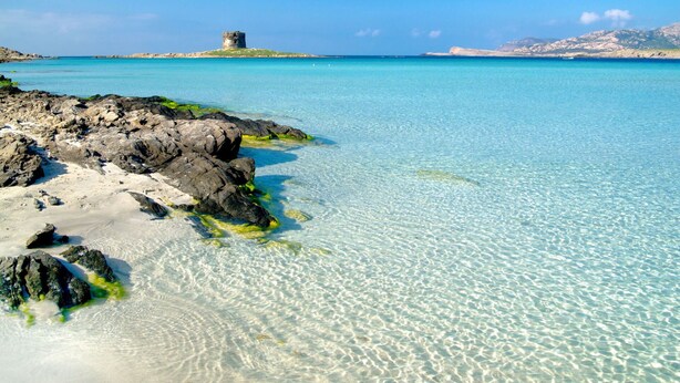 A coastal landscape with clear turquoise waters, rocky shoreline, and a distant castle-like structure. - Beautiful apartment for 6 people with terrace and pets allowed (Stintino)
