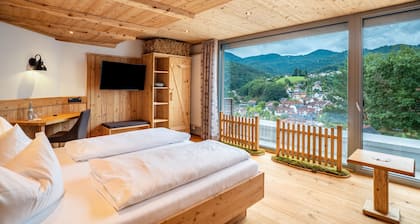 Panoramazimmer 'Heustock' mit Terrasse, WLAN und Klimaanlage