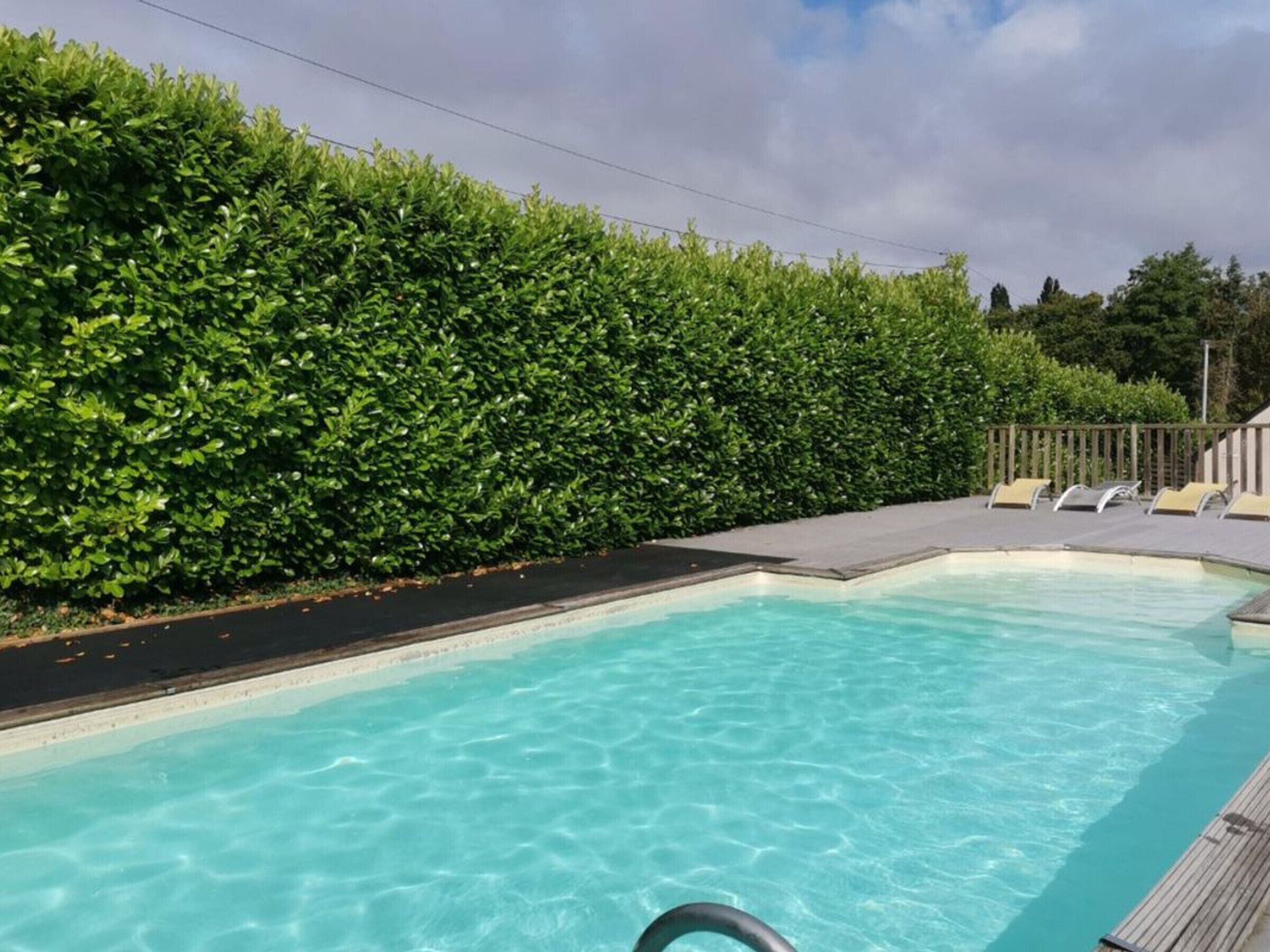 A swimming pool with clear blue water, surrounded by a wooden deck and a tall hedge.
