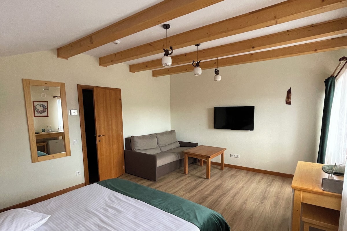 A bedroom with a bed, a sofa, a TV, and wooden beams on the ceiling.