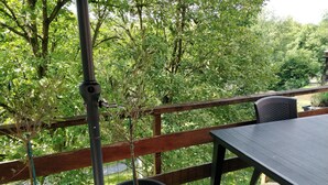 A wooden deck with a table and chairs, surrounded by a metal railing and potted plants.