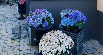 Apartment in Cozy Farmhouse Upstairs