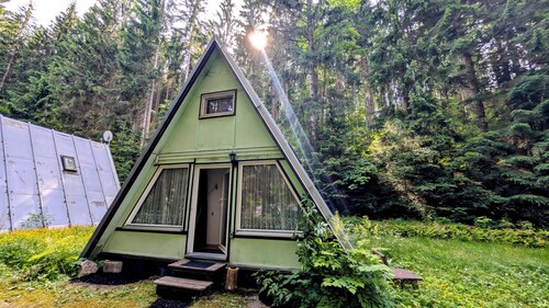 Cozy hut in the middle of the forest. Pet friendly!