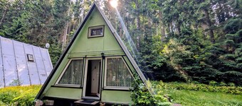 Cozy hut in the middle of the forest. Pet friendly!